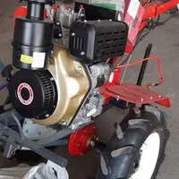 تیلر|خدمات باغبانی و درختکاری|جهرم, |دیوار