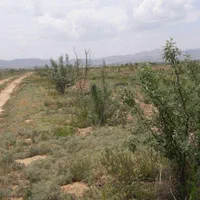 باغ شهر مینو دشت اشراق 1000 متر