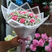 روز  دختر مبارک|گل و گیاه طبیعی|رشت, خواهر امام|دیوار