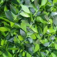 چمن فنس چمنی