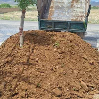 حمل کودگاوی گوسفندی|خدمات باغبانی و درختکاری|اراک, |دیوار