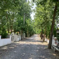 فروش زمین شهرکی منتهی به جنگل