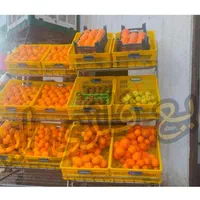 استند میوه و سبزی به ابعاد دلخواه شما باضمانت|فروشگاه و مغازه|مشهد, مقصود آباد|دیوار
