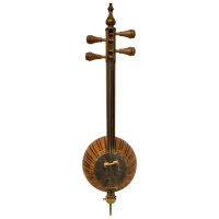 کمانچه حرفه ای استاد جاوید مقدم