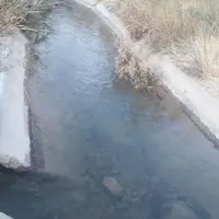باغ فروشی پر محصول و پر آب|فروش دفتر صنعتی، کشاورزی، تجاری|تهران, حسن‌آباد|دیوار