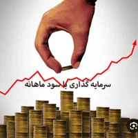سرمایه گذاری در فرروشگاه رسولی