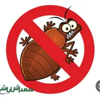 سمپاشی سوسک ساس مورچه پشه زنبور موش در تهران|خدمات نظافت|تهران, شهرک محلاتی|دیوار
