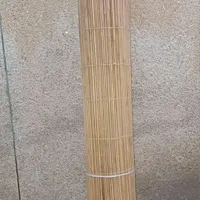 حصیر