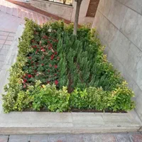 فروش گل و گیاه کاشت گل باغبانی باغچه کاری|خدمات باغبانی و درختکاری|تهران, سعادت‌آباد|دیوار