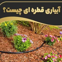 آبیاری قطره ای ،نواری وبارانی|خدمات باغبانی و درختکاری|شیراز, شهرک بهشتی|دیوار