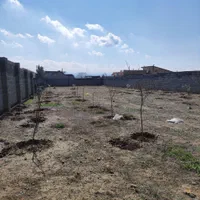 زمین باغی مسکونی سنددارشاهنامه گوارشک206نقدقسط207|فروش زمین و ملک کلنگی|مشهد, توس فردوسی|دیوار