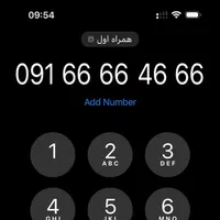 0916-666-4-666