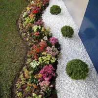 محوطه سازی.هرس گل و نهال .شخم.علف زنی.سم زنی|خدمات باغبانی و درختکاری|رشت, آزادگان|دیوار