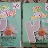 کتاب ماجرای بیست عربی و فارسی دهم به همراه ضمیمه|کتاب و مجله آموزشی|تهران, نازی‌آباد|دیوار