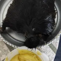 خیگ نگهدارنده روغن|ظروف نگهدارنده، پلاستیکی، یک‌بارمصرف|شوشتر, |دیوار
