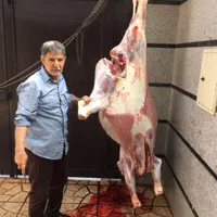 ذبح وقصاب وسلاخ گاو وگوساله شبانه روزی|خدمات پیشه و مهارت|تهران, امام زاده حسن|دیوار