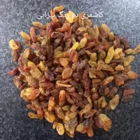 پخش کشمشهای آفتابی و سرکه ای|عمده‌فروشی|تهران, مسعودیه|دیوار