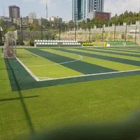 چمن  مصنوعی خزه تثبیت شده چمن فوتبالی فنس گرین وال|گل مصنوعی|رشت, سعدی (تختی)|دیوار
