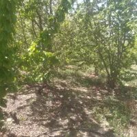 فروش زمین ۶۰۰ متری محدود پل زمانخان روستایی شوراب|فروش زمین و ملک کلنگی|اصفهان, آزادگان|دیوار
