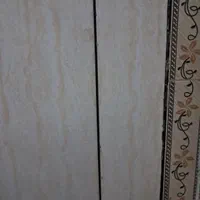 نظافتچی خانم و آقا با چند سال تجربه چه باهم چه