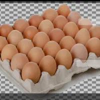 پخش تخم مرغ آرمان|خوردنی و آشامیدنی|مشهد, سرافرازان|دیوار