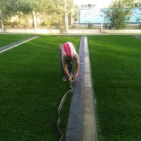 تزئینات باغ چمن مصنوعی فنس چمنی|خدمات باغبانی و درختکاری|بهبهان, |دیوار