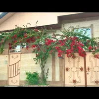 اجاره سوییت یک خواب همراه باکولر|اجارهٔ کوتاه‌مدت آپارتمان و سوئیت|فومن, |دیوار