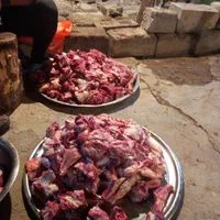 قصاب برای ذبح گوسفند شما برای مجالس|خدمات پذیرایی، مراسم|مشهد, شهرک رازی (شهرک غرب)|دیوار