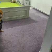 پالاز موکت