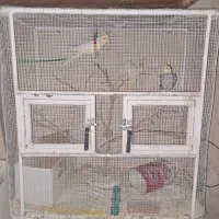 قفس پرنده بزرگ برای انواع پرنده