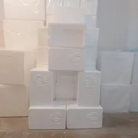 کولباکس جعبه کارتن یخدان یونولیتی صادراتی box کوچک|ظروف نگهدارنده، پلاستیکی، یک‌بارمصرف|تهران, میدان ولیعصر|دیوار