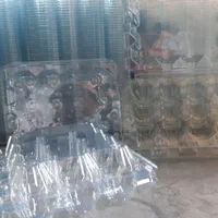 پک بهداشتی جهت بسته بندی تخم بلدرچین(12عددی)|عمدهفروشی|سبزوار, |دیوار