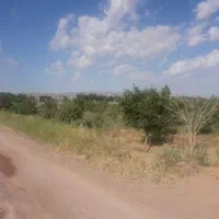 ۱۰۰۰ متر باغ/سند تک برگ/معاوضه باخودرو/زرندیه|فروش دفتر صنعتی، کشاورزی، تجاری|ساوه, |دیوار