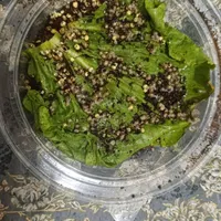جوجه حلزون ارزان قیمت