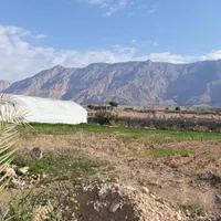 گلخانه سبزی و سیفی در بهبهان ۵۲۰۰متری|فروش دفتر صنعتی، کشاورزی، تجاری|اهواز, نادری|دیوار