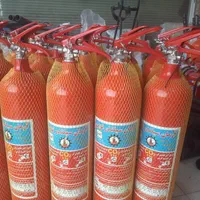 فروش و شارژ و نصب انواع کپسول های آتش نشانی|ابزارآلات|برازجان, |دیوار