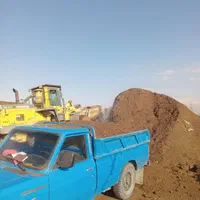 کود حیوانی سوخته و بدون بو