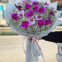 گل رزهلندی قرمزرنگی باکس دسته گل مستقیم از بازارگل|گل و گیاه طبیعی|مشهد, امیر|دیوار
