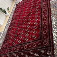 فرش دستباف ترکمنی|فرش|آق قلا, |دیوار