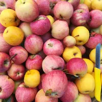 فروش سرکه سیب|خوردنی و آشامیدنی|شیراز, دشت چنار|دیوار