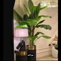 گل و درحتچه|گل مصنوعی|تهران, مشیریه|دیوار