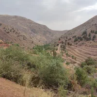 زمین باغ ۸۵۰ متر لواسان بزرگ/جورد/وسکاره/ایرا|فروش زمین و ملک کلنگی|لواسان, |دیوار