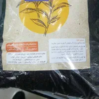 بلاگر