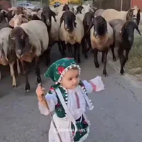 گوسفند زنده حصارک
