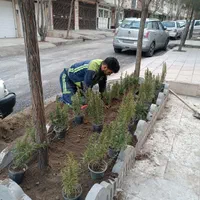کلیه کارهای سم پاشی،باغبانی،گل کاری وهرس ،تیلرزنی|خدمات باغبانی و درختکاری|مشهد, صیاد شیرازی|دیوار