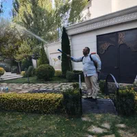 باغبانی سمپاشی هرسکاری کودسم پاشی سوسک سراسرتهران|خدمات باغبانی و درختکاری|تهران, تجریش|دیوار
