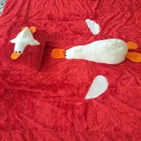 روتختی نوجوان|سرویس روتختی|اصفهان, رزمندگان|دیوار