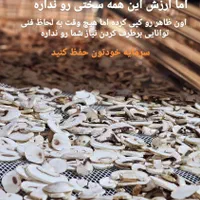 تضمین دستگاه خشک کن میوه و سبزی ماهی اشعه uv|ماشین‌آلات صنعتی|اهواز, کوی ترابری|دیوار