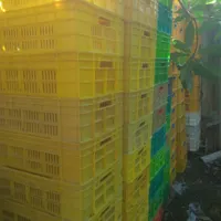 سبد پلاستیکی