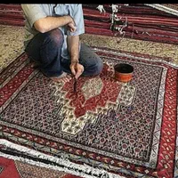 قالیشویی مبلشویی طرشت صادقیه فردوس پونک شهران جنت|خدمات نظافت|تهران, فردوس|دیوار
